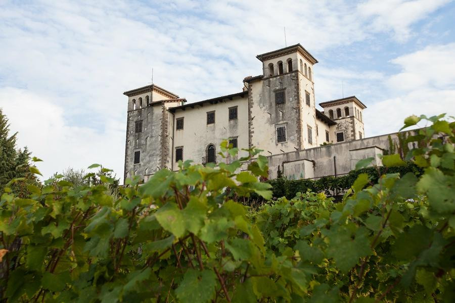 The Dobrovo Castle景点图片