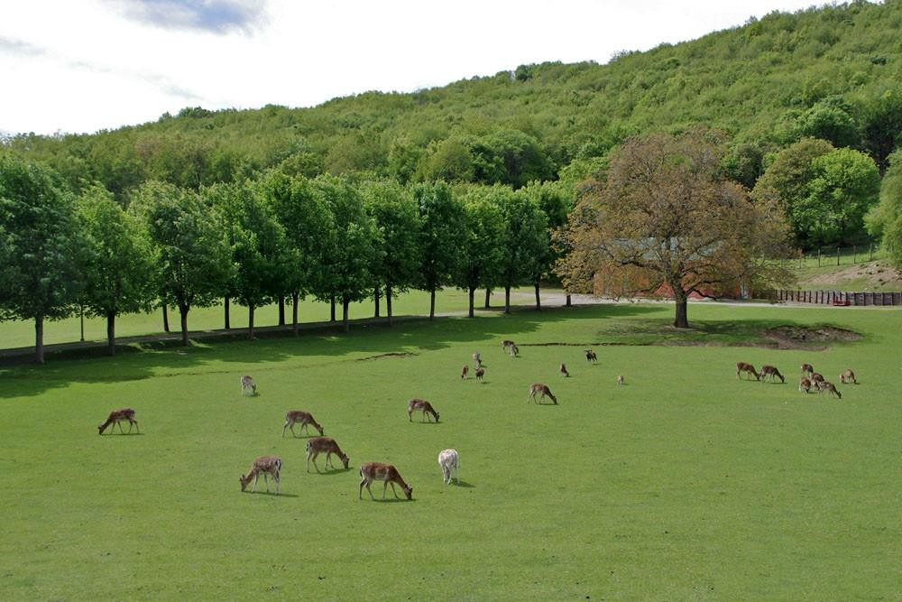 Parco Provinciale Monte Fuso景点图片