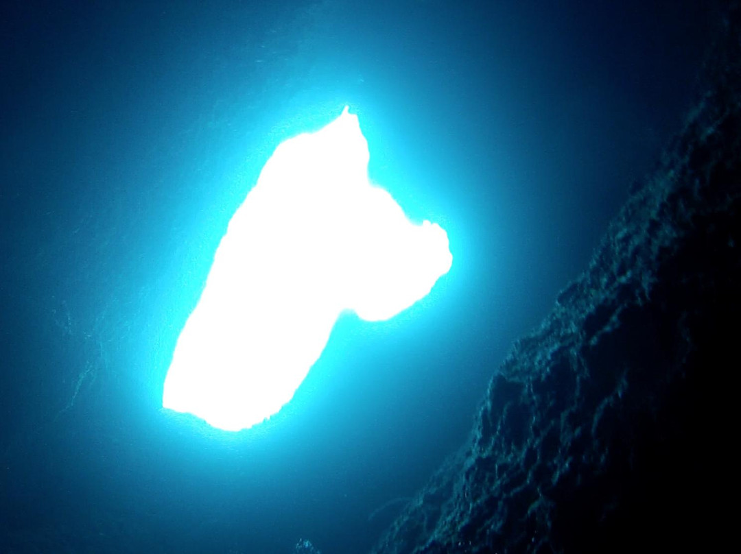 Micronesian Divers Association-Piti必去景点