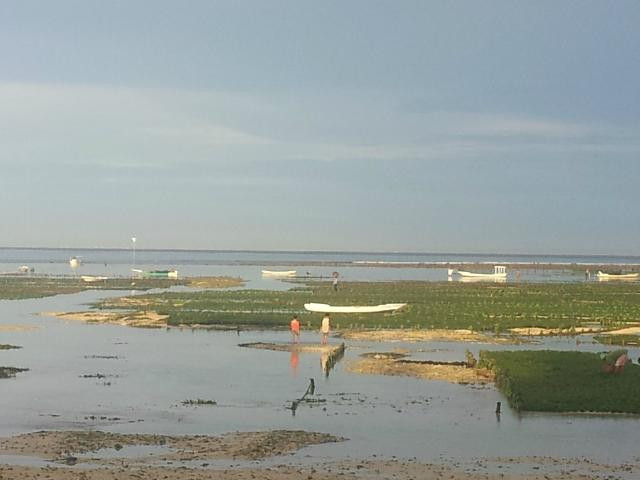 Mushroom Beach-蓝梦岛必去景点