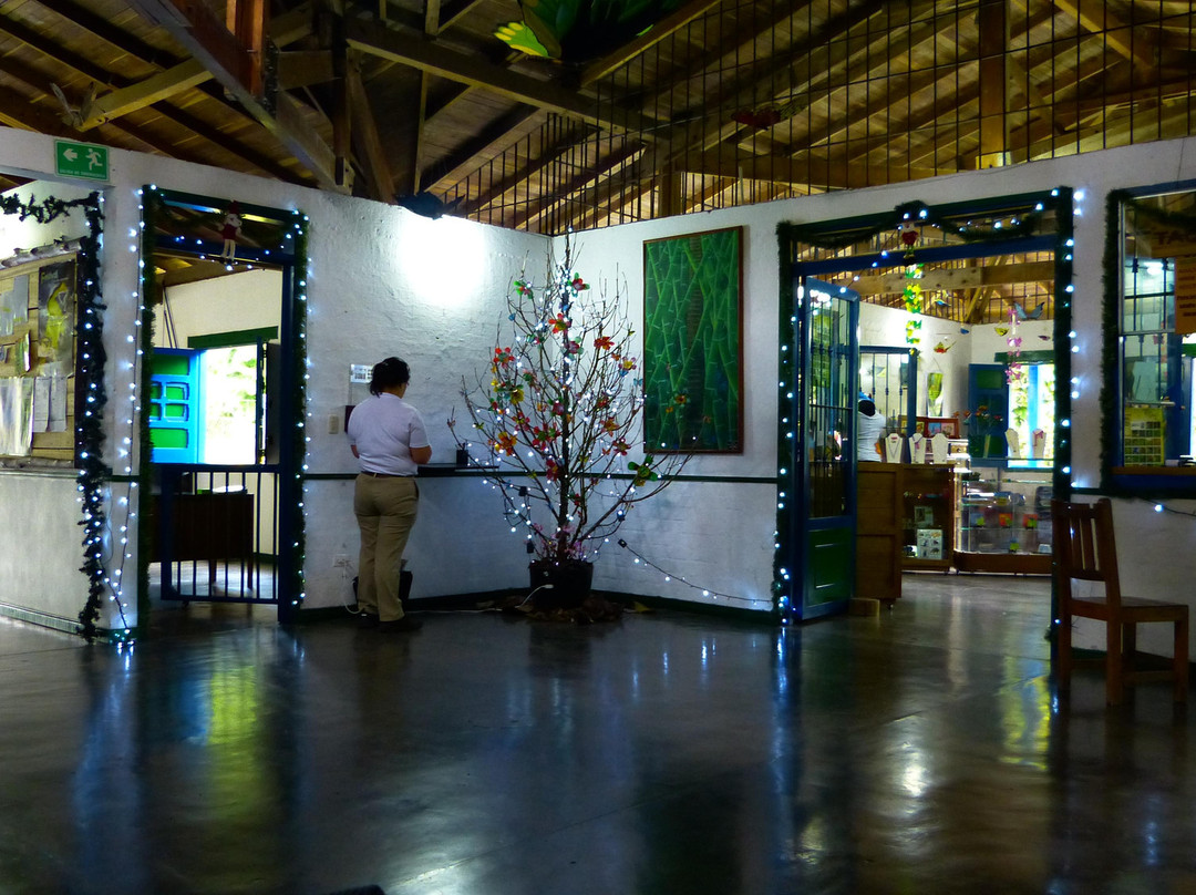 Jardín Botánico del Quindío-Calarca必去景点