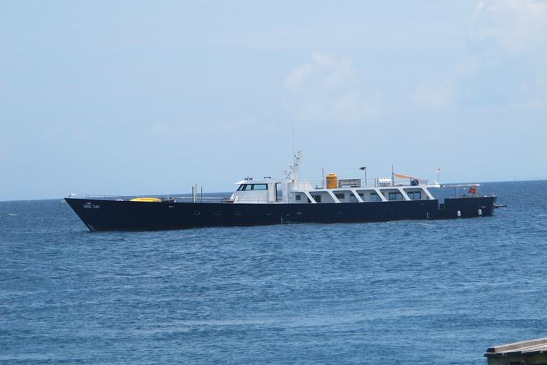 Sea Sanctuaries Trust-四王岛必去景点