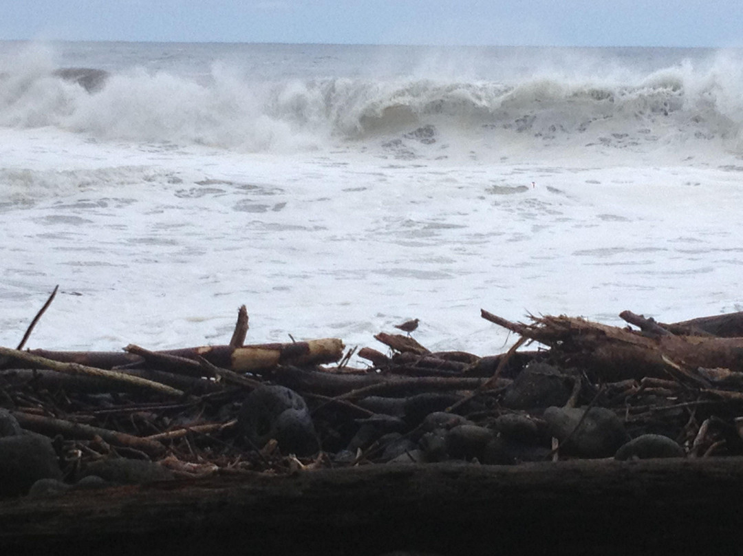 Kolekole Beach Park-哈诺姆必去景点