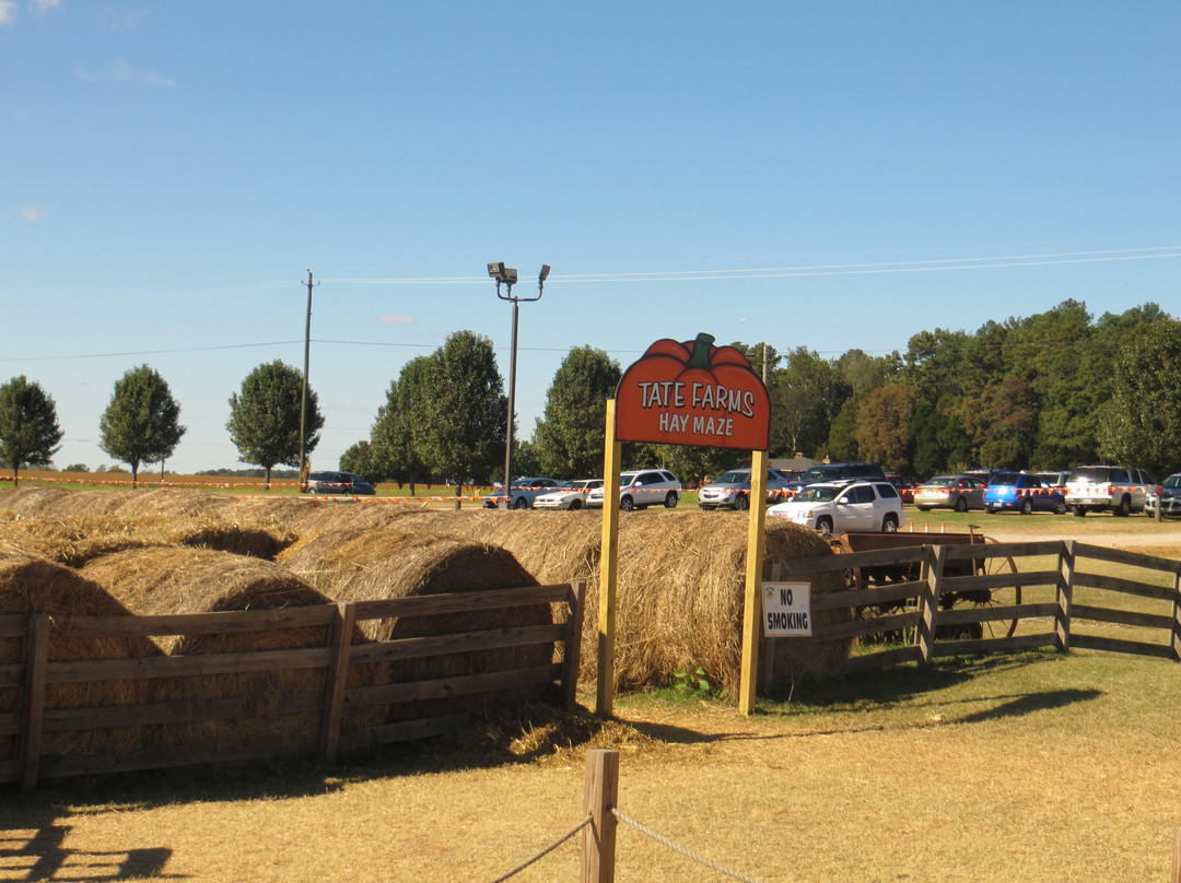 Tate Farms-Meridianville必去景点