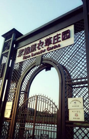 沈阳紫烟薰衣草庄园-沈阳市必去景点