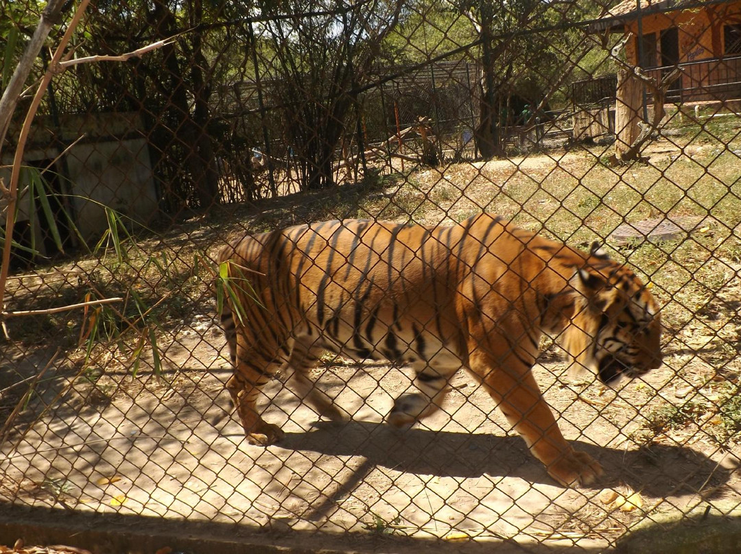 Parque Zoologico y Botanico Bararida景点图片