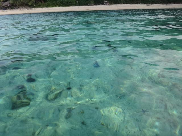 Tres Reyes Marine Sanctuary景点图片