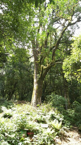 千家寨-镇沅彝族哈尼族拉祜族自治县必去景点