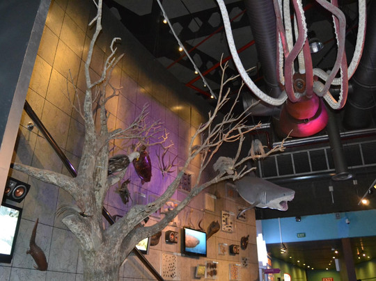 新加坡科学馆-新加坡必去景点