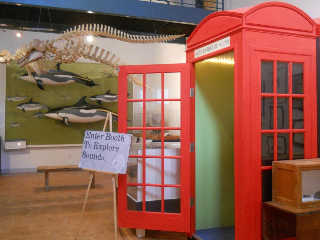 George B. Dorr Museum of Natural History-巴港必去景点