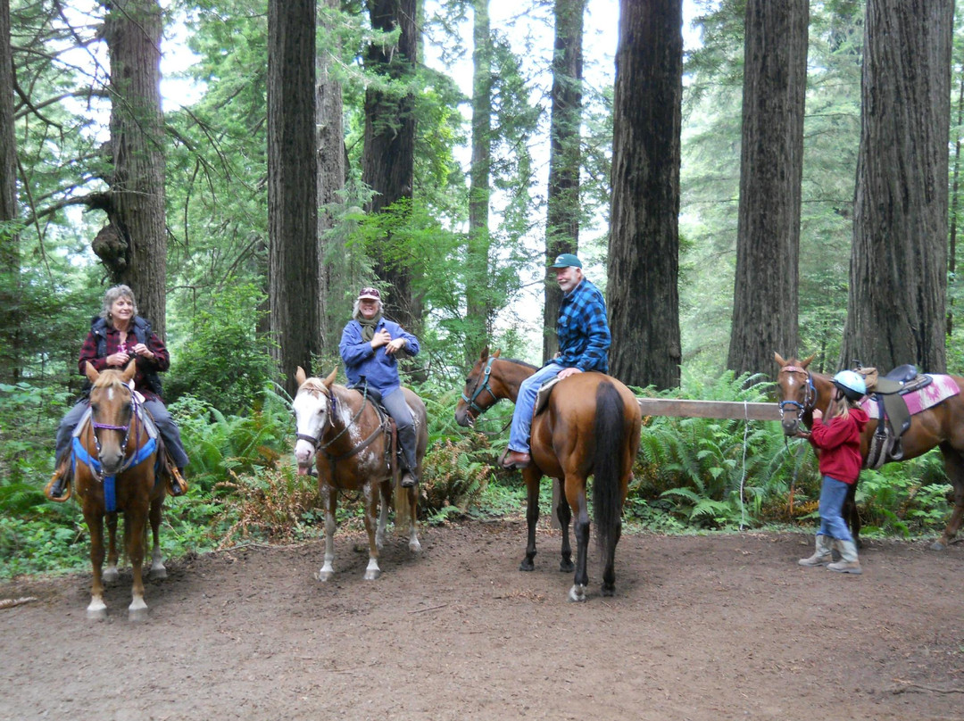 Redwood Creek Buckarettes-Orick必去景点
