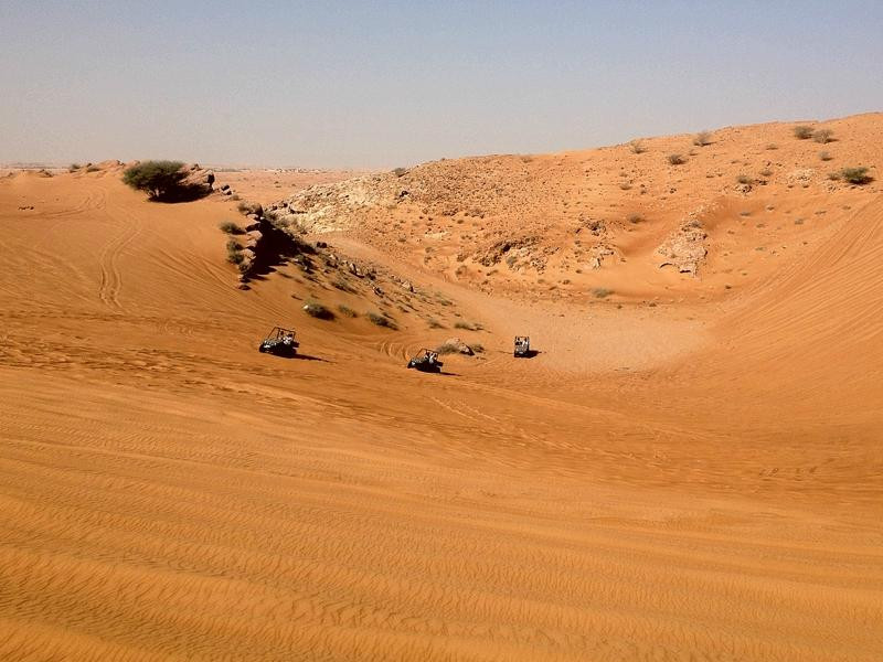 Buggy Adventures景点图片