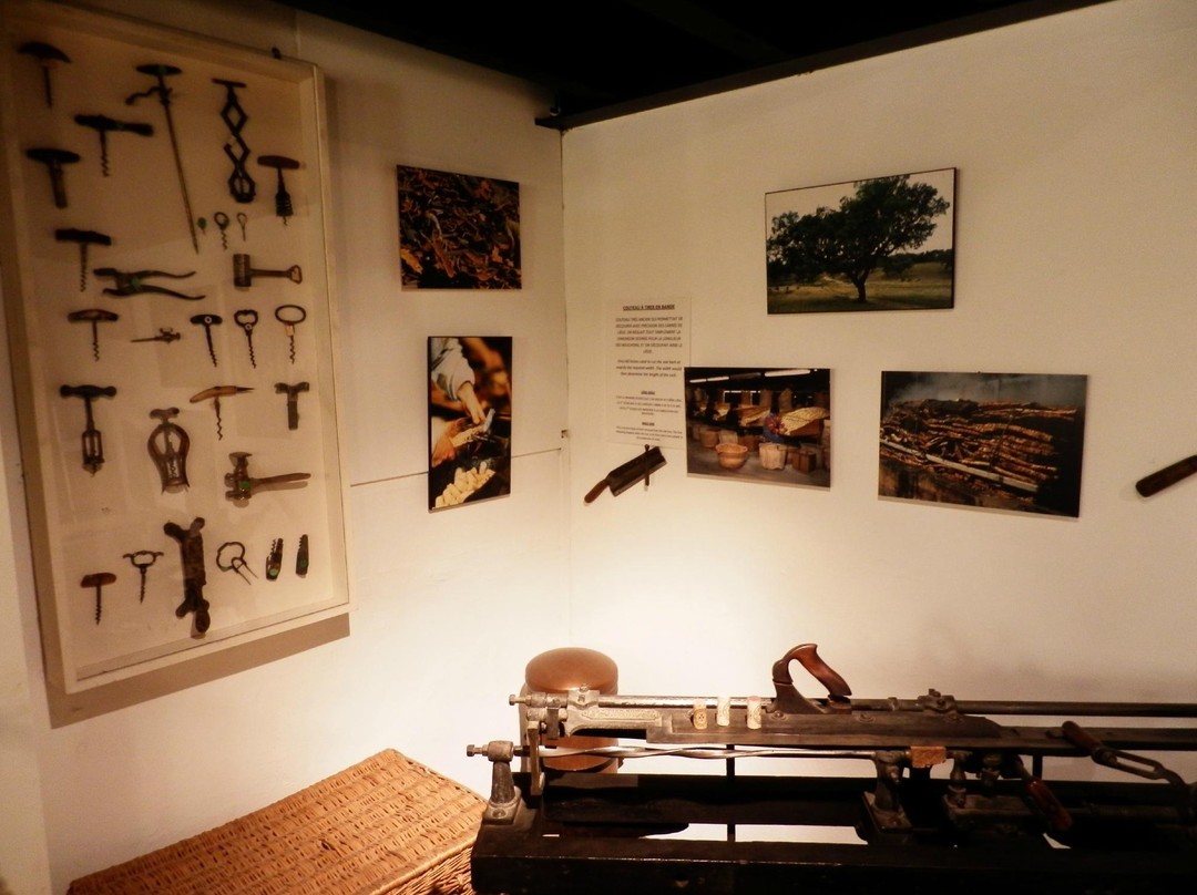 Musee du Vin Brotte Dégustation et Vente景点图片