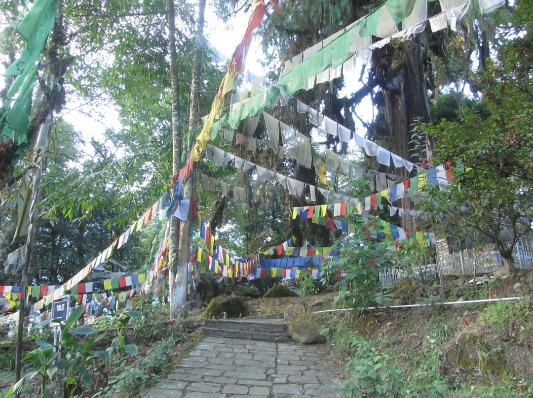 Coronation Throne Of Norbugang-Yuksom必去景点