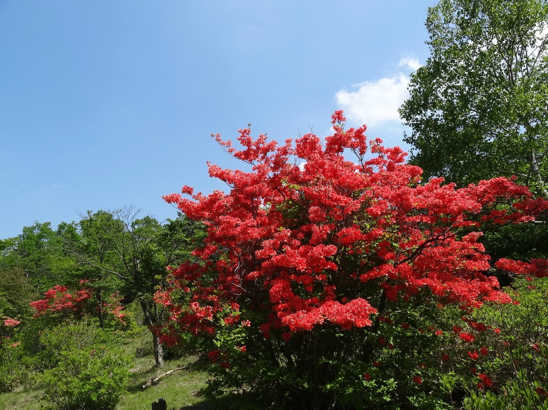 Happogahara-矢板市必去景点