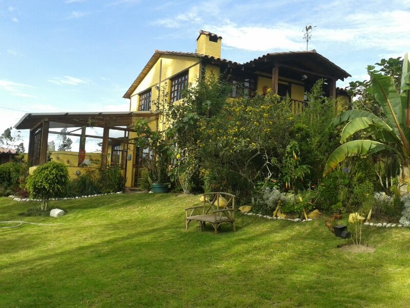 Yellow Guest House-官方