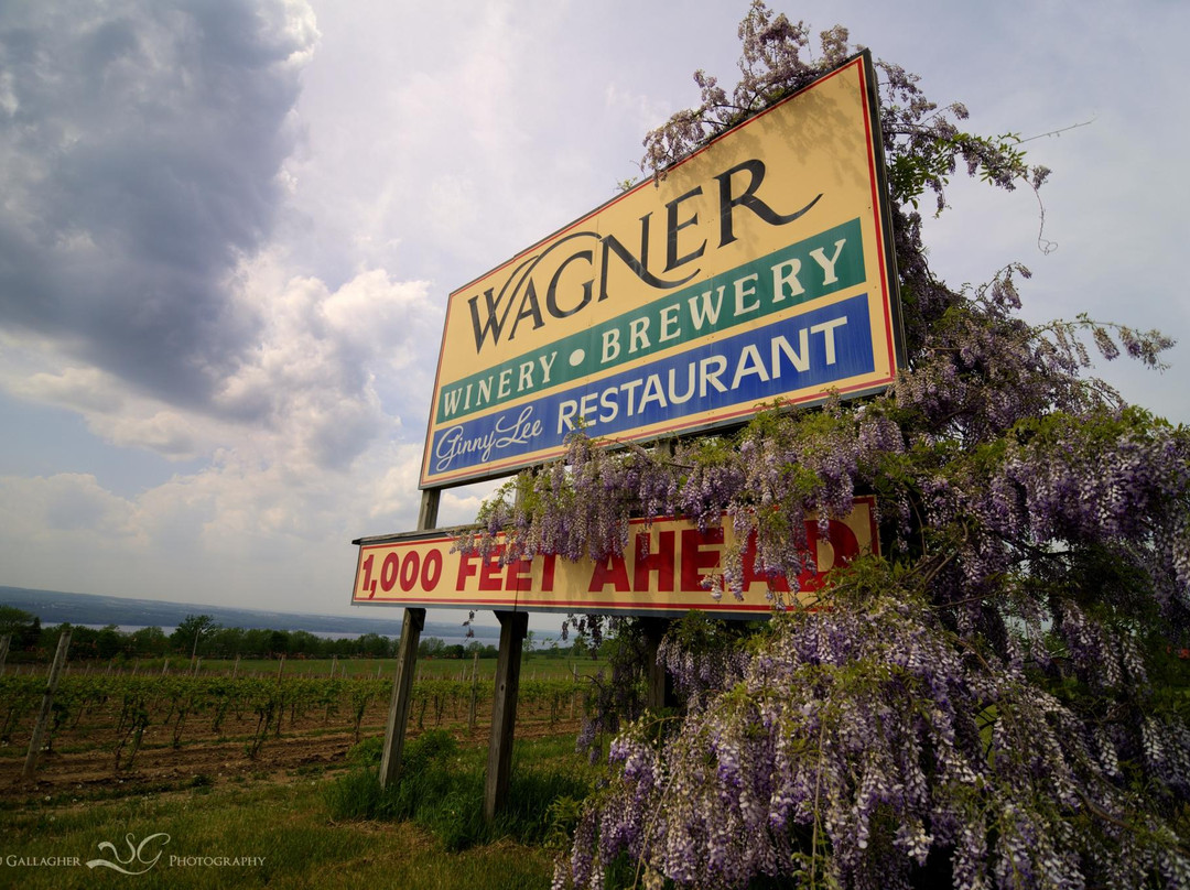 Wagner Vineyards景点图片