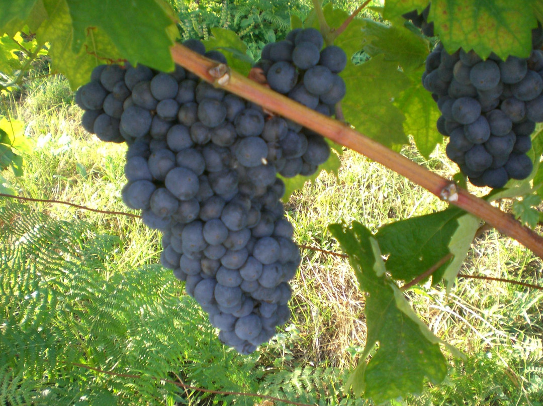 3e Travel Montenegro-科托尔必去景点