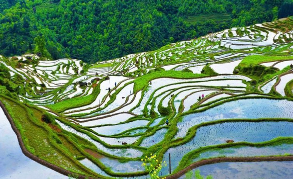 China Expedition Tours-桂林市必去景点