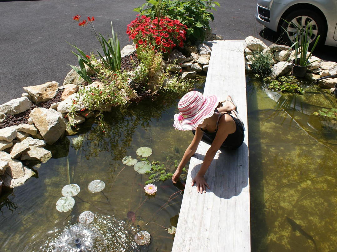 Chambre d'Hotes La Douelle主图