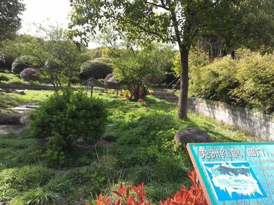上海野生动物园景点图片