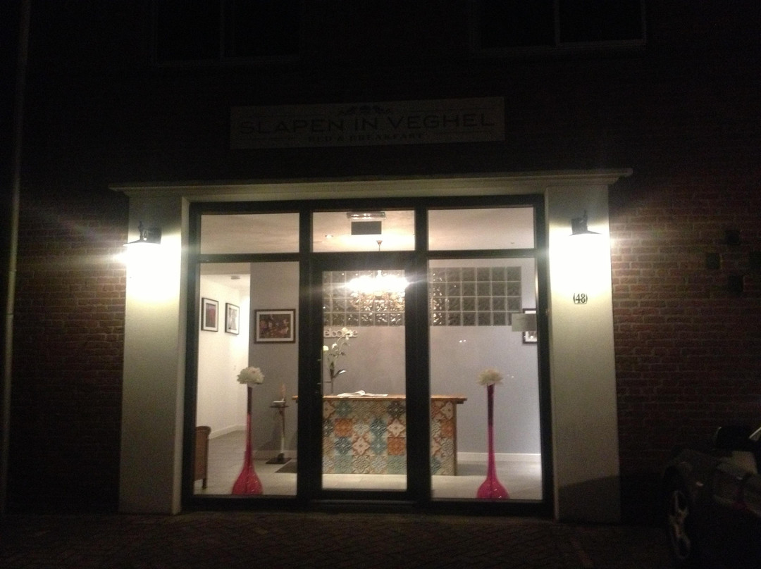 Slapen in Veghel主图