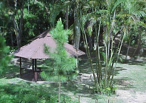 Parque Gustavo Knoop景点图片