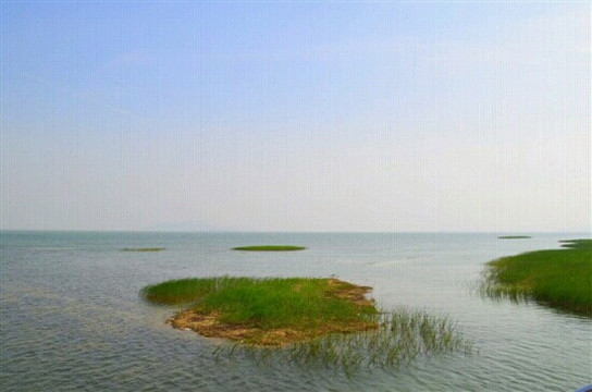 苏州太湖湿地公园-苏州市必去景点