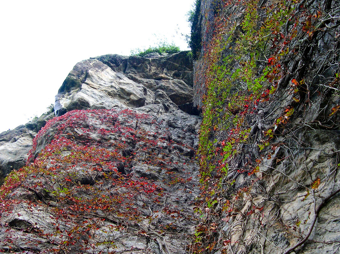 白马尖-霍山县必去景点
