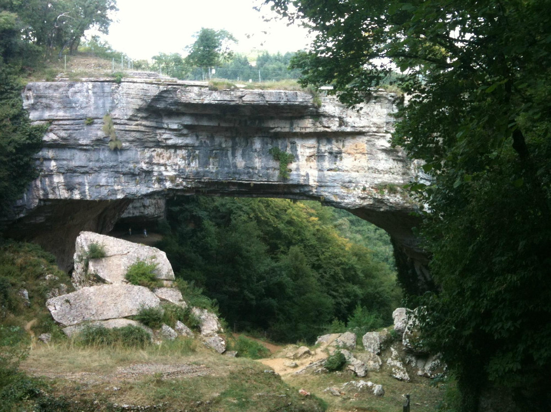 Ponte de Veja景点图片