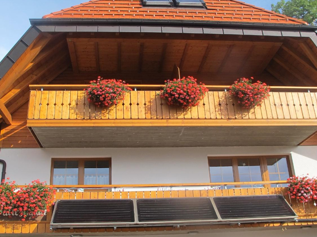 Wieden酒店住宿-Gaestehaus Sonnhalde