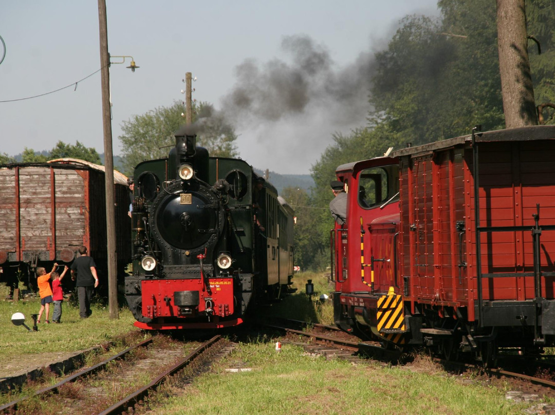 Neuenrade旅游景点-Sauerlaender Kleinbahn