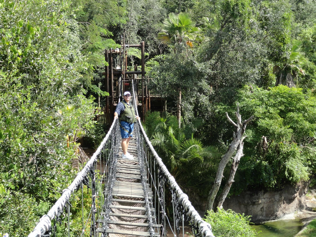 非洲野外探险-奥兰多必去景点