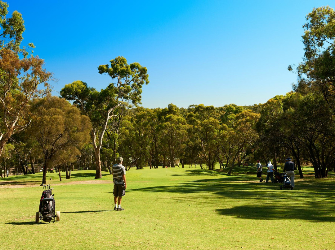Belair Park Country Club景点图片