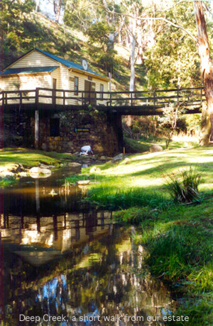 Deep Spring Estate Daylesford主图