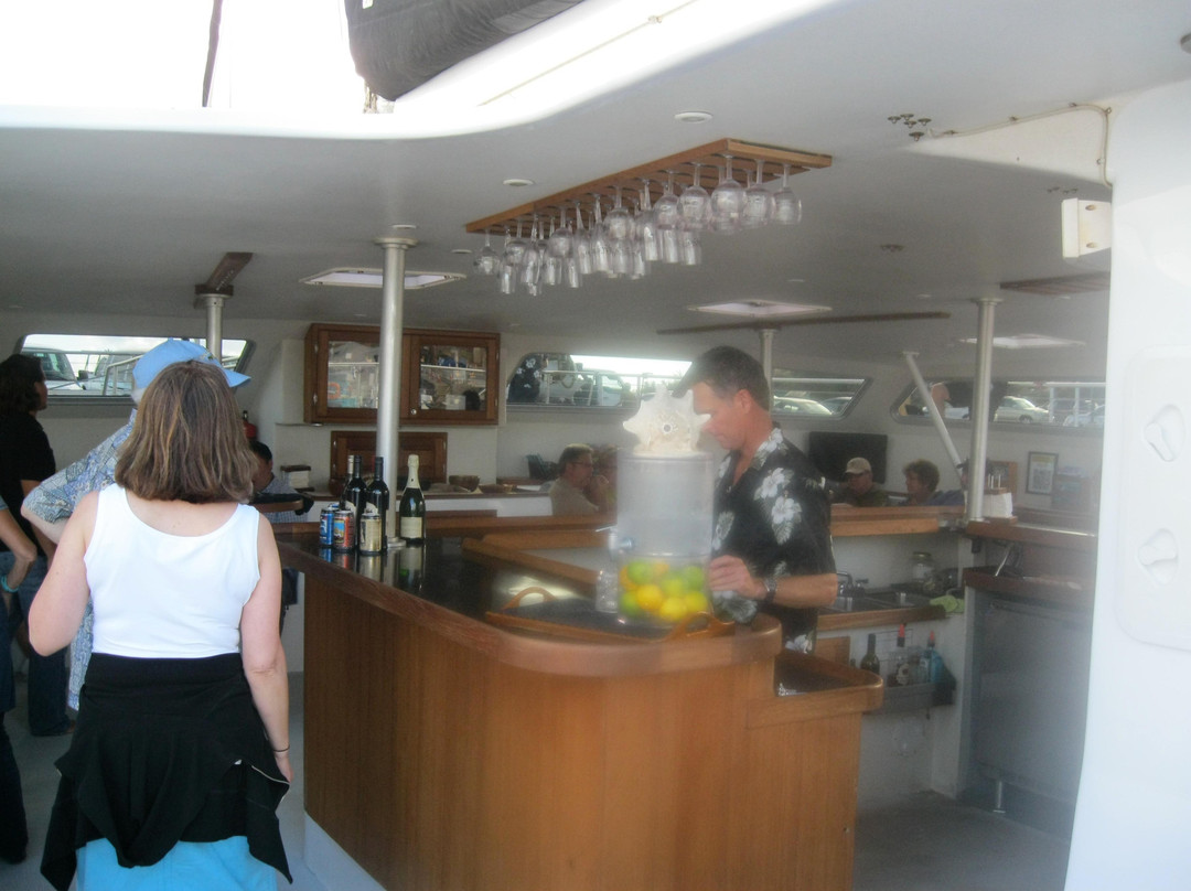 Alii Nui Sailing Charters-玛阿拉也亚必去景点