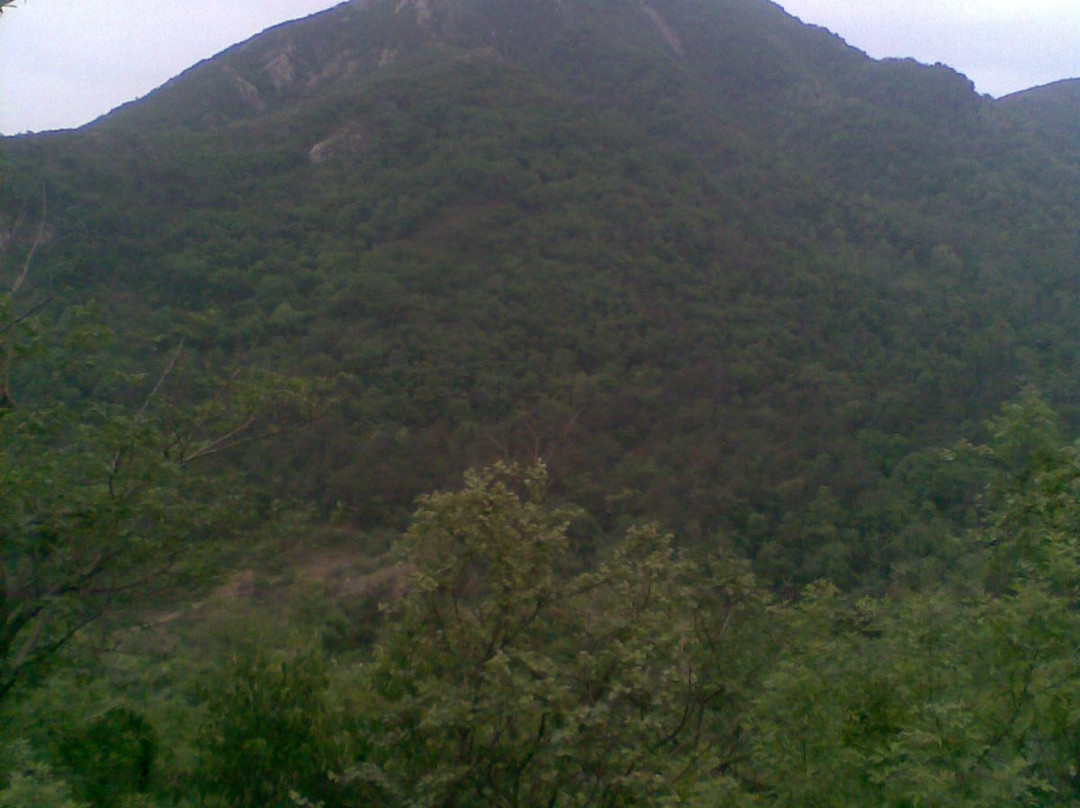 乐山国家森林公园-确山县必去景点