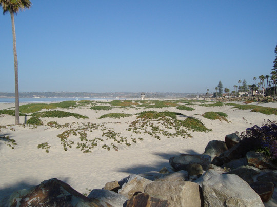 科罗纳市海滩-科罗纳多必去景点