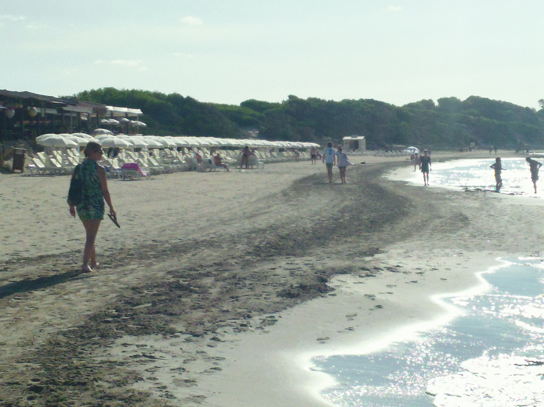 Playa de Ses Salines-Ses Salines必去景点