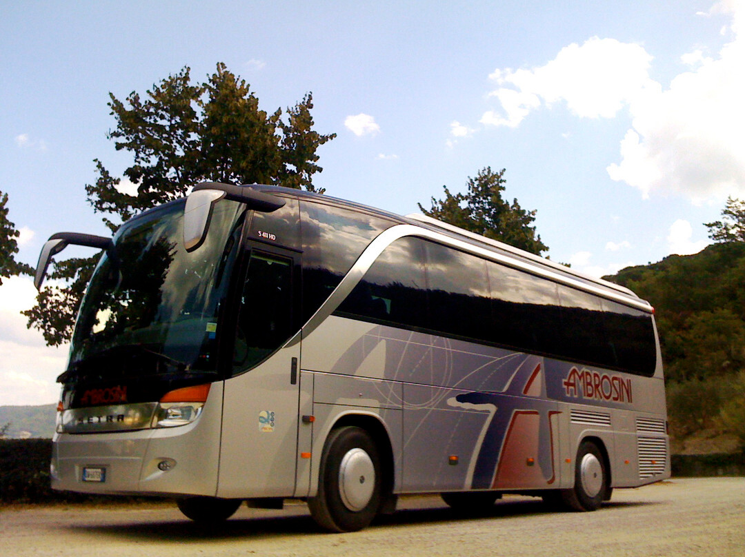 Ambrosini Autoservizi-维琴查必去景点