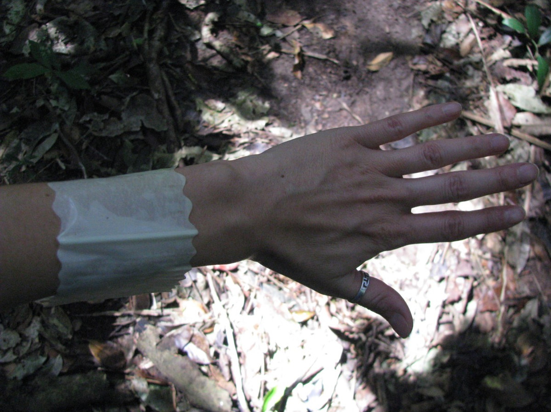 Fluvial Tours-Rurrenabaque必去景点