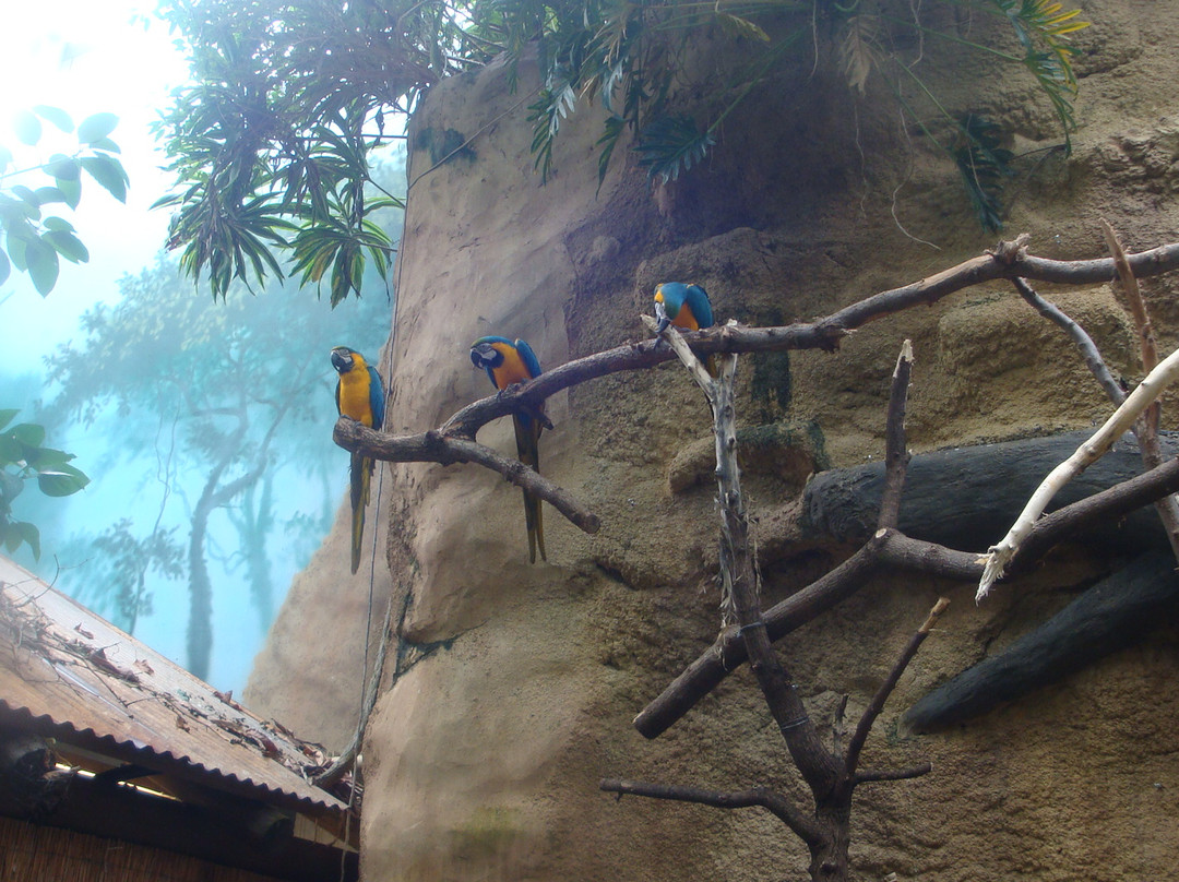 亨利维拉斯动物园-麦迪逊必去景点