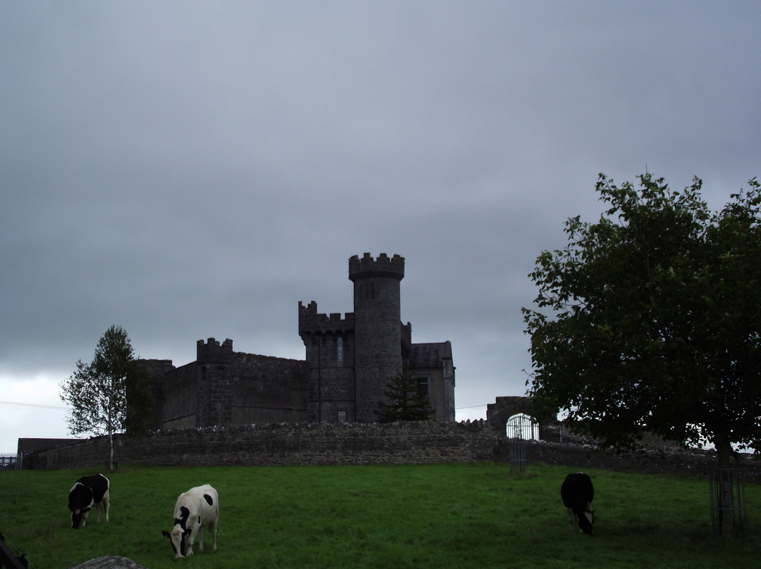 Carrigeen Castle主图