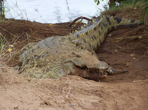 Ndohakashani Tours-瓦塔木必去景点