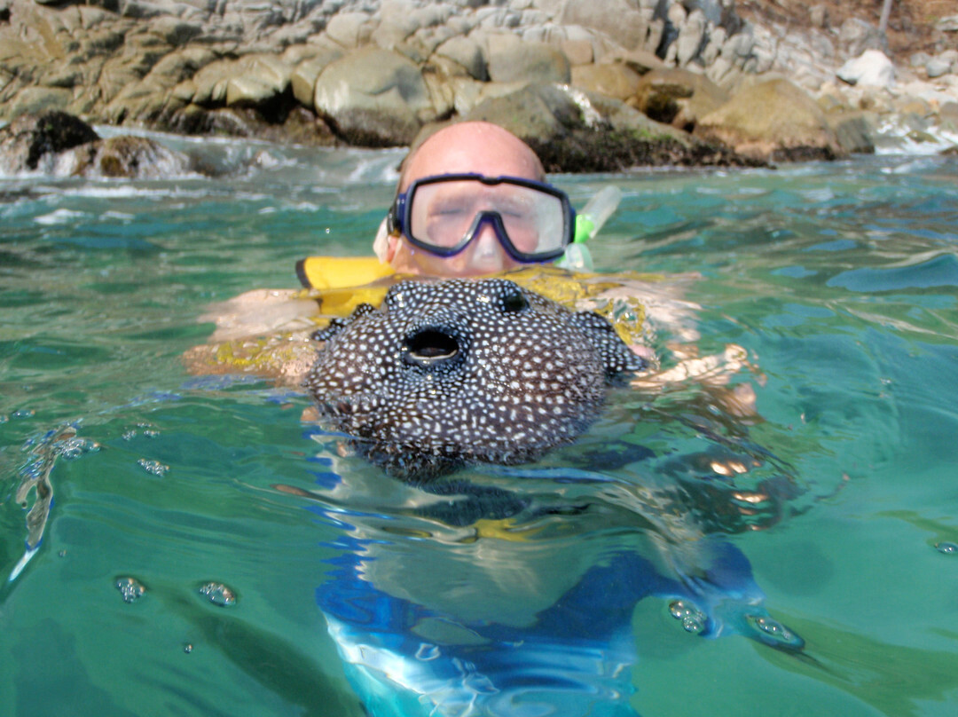 Ecotours Vallarta-瓦拉塔港必去景点