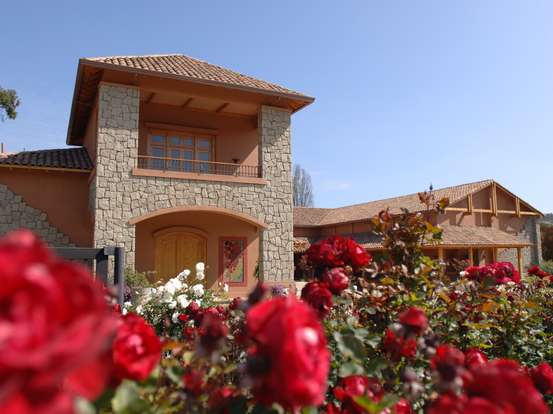 Casa Marin Winery-Lo Abarca必去景点