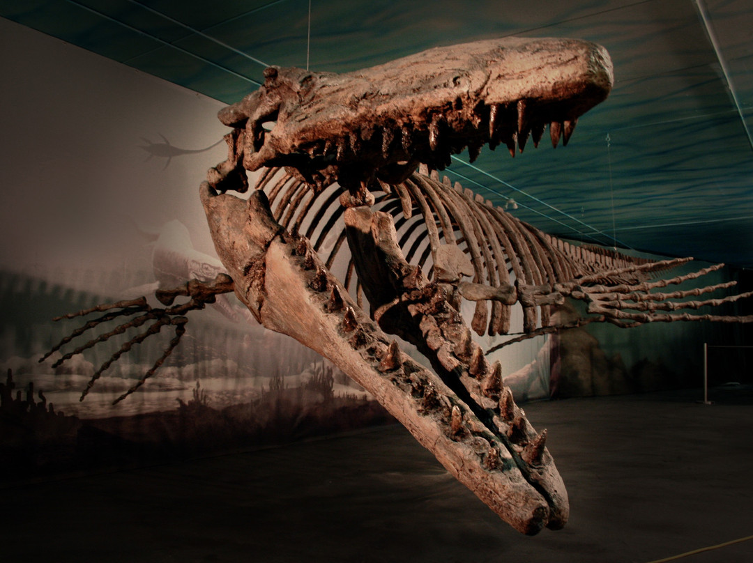 Canadian Fossil Discovery Centre-Morden必去景点