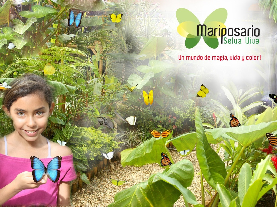 Mariposario Selva Viva-麦德林必去景点