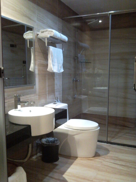 柏丽酒店(沿江店)-客卧