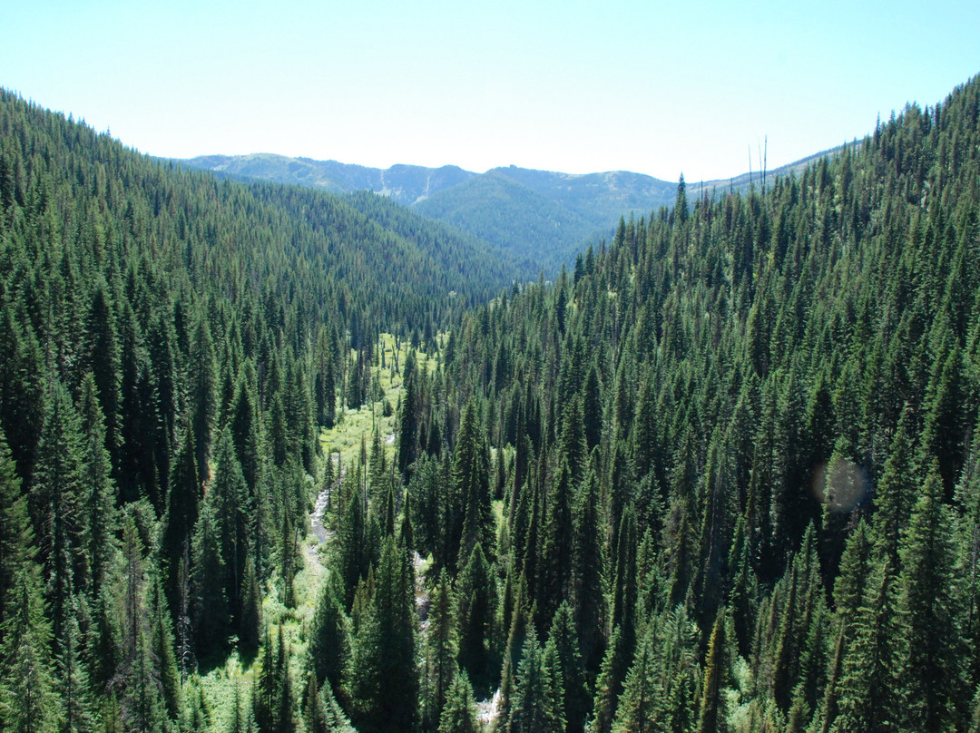 Hiawatha Mountain Bike Trail景点图片